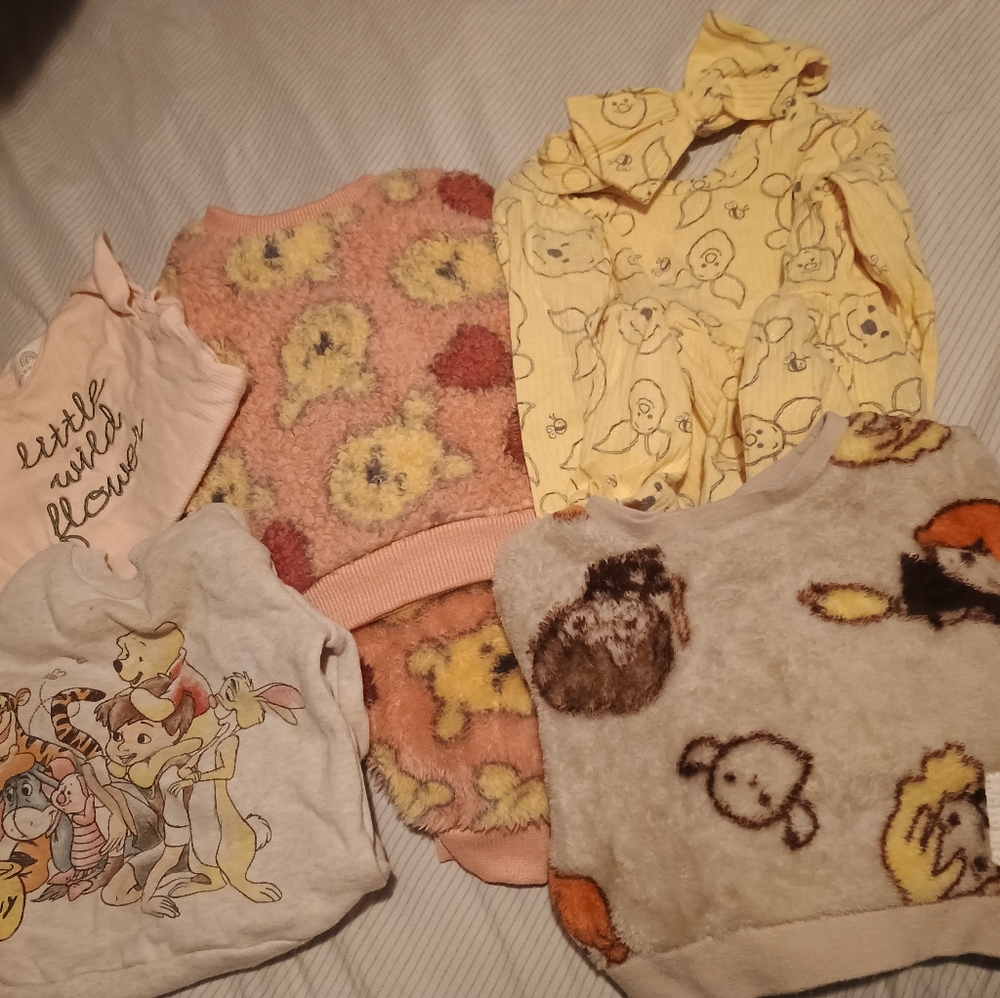Winnie the Pooh baby girl clothing bundle